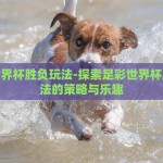 足彩世界杯胜负玩法-探索足彩世界杯胜负玩法的策略与乐趣