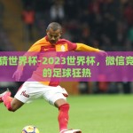 微信竞猜世界杯-2023世界杯，微信竞猜引发的足球狂热