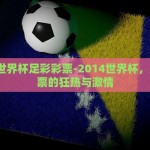 2014世界杯足彩彩票-2014世界杯，足彩彩票的狂热与激情