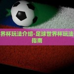 在哪里可以下注世界杯-探索网络足球赌注的多元化选择