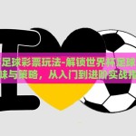 世界杯足球彩票玩法-解锁世界杯足球彩票的趣味与策略，从入门到进阶实战指南