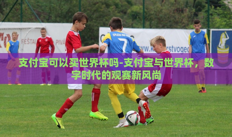 支付宝可以买世界杯吗-支付宝与世界杯,数字时代的观赛新风尚 支付宝可以买世界杯吗-支付宝与世界杯,数字时代的观赛新风尚