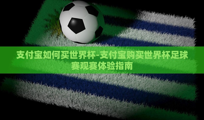 支付宝如何买世界杯-支付宝购买世界杯足球赛观赛体验指南 支付宝如何买世界杯-支付宝购买世界杯足球赛观赛体验指南