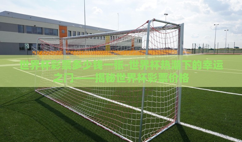 世界杯彩票多少钱一张-世界杯热潮下的幸运之门——揭秘世界杯彩票价格