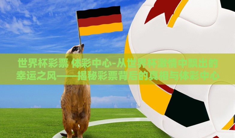 世界杯彩票 体彩中心-从世界杯激情中飘出的幸运之风——揭秘彩票背后的真相与体彩中心的角色