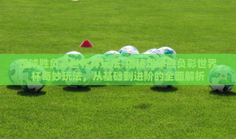 2002世界杯八强彩票奖金-重返2002,世界杯八强彩票奖金的闪耀岁月 2002世界杯八强彩票奖金-重返2002,世界杯八强彩票奖金的闪耀岁月