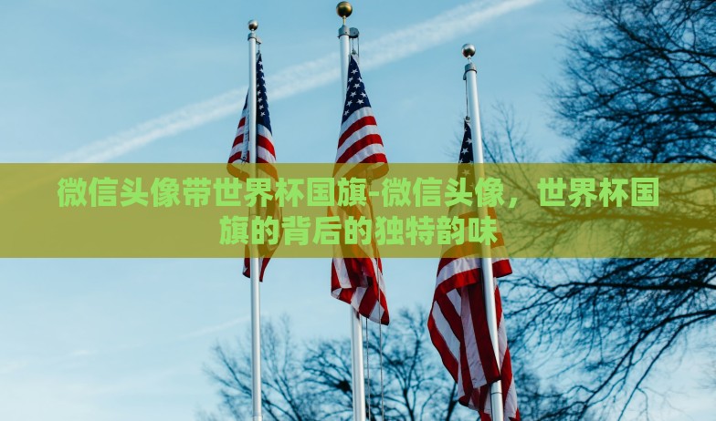 微信头像带世界杯国旗-微信头像,世界杯国旗的背后的独特韵味 微信头像带世界杯国旗-微信头像,世界杯国旗的背后的独特韵味