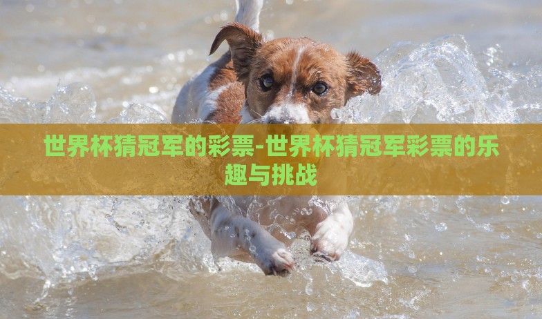 世界杯猜冠军的彩票-世界杯猜冠军彩票的乐趣与挑战