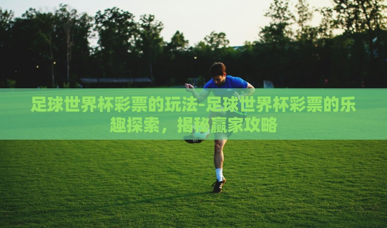 世界杯彩票小程序-世界杯激情与智能投注,解析世界杯彩票小程序的魅力与影响 世界杯彩票小程序-世界杯激情与智能投注,解析世界杯彩票小程序的魅力与影响