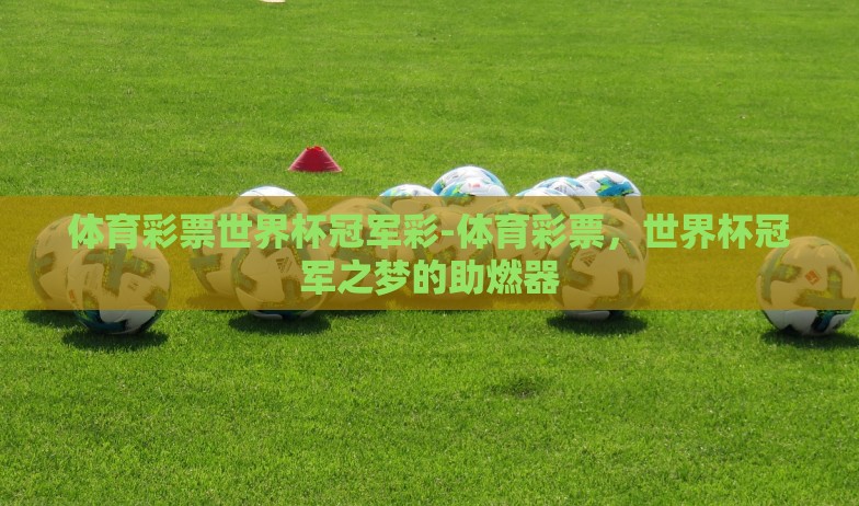 巴西世界杯禁止彩票-禁彩背景下——巴西世界杯的另类博弈 巴西世界杯禁止彩票-禁彩背景下——巴西世界杯的另类博弈