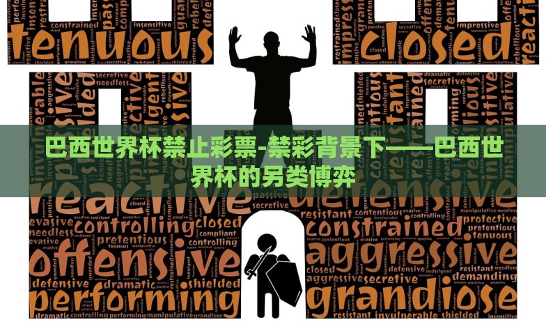 巴西世界杯禁止彩票-禁彩背景下——巴西世界杯的另类博弈 巴西世界杯禁止彩票-禁彩背景下——巴西世界杯的另类博弈