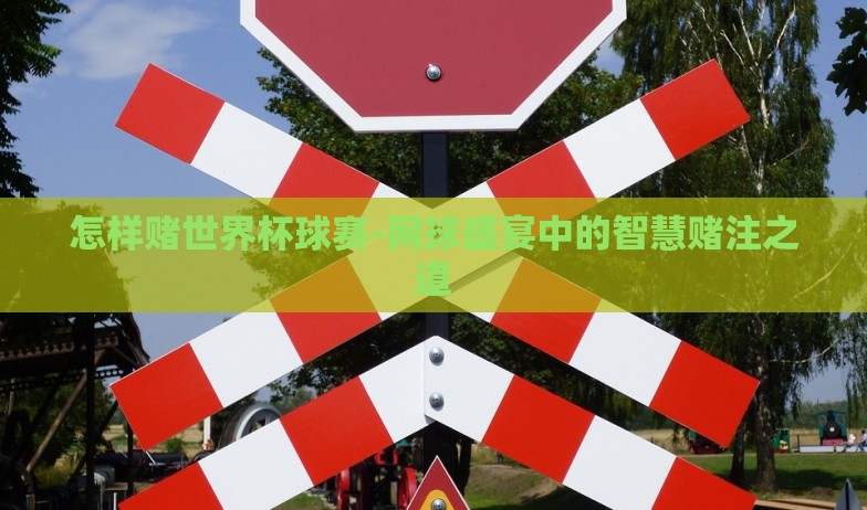 怎样赌世界杯球赛-网球盛宴中的智慧赌注之道 怎样赌世界杯球赛-网球盛宴中的智慧赌注之道
