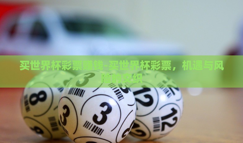 买世界杯彩票赚钱-买世界杯彩票,机遇与风险的交织 买世界杯彩票赚钱-买世界杯彩票,机遇与风险的交织