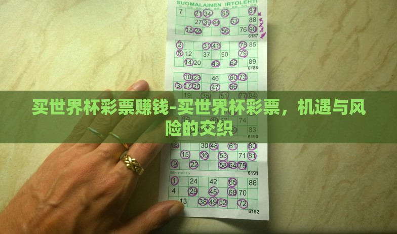 买世界杯彩票赚钱-买世界杯彩票,机遇与风险的交织 买世界杯彩票赚钱-买世界杯彩票,机遇与风险的交织
