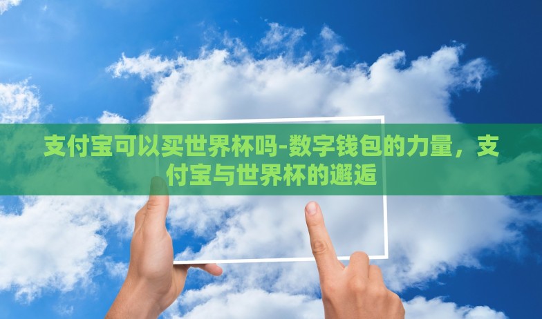支付宝可以买世界杯吗-数字钱包的力量，支付宝与世界杯的邂逅