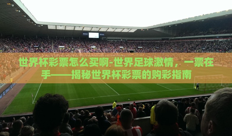 世界杯彩票怎么买啊-世界足球激情，一票在手——揭秘世界杯彩票的购彩指南