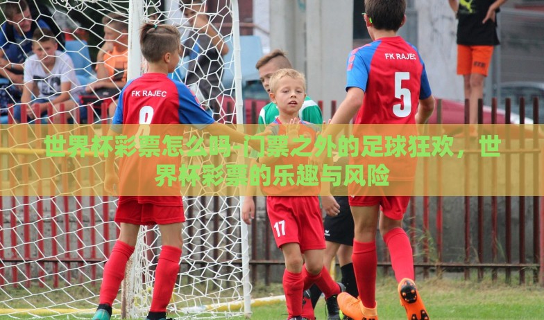世界杯彩票怎么吗-门票之外的足球狂欢,世界杯彩票的乐趣与风险 世界杯彩票怎么吗-门票之外的足球狂欢,世界杯彩票的乐趣与风险