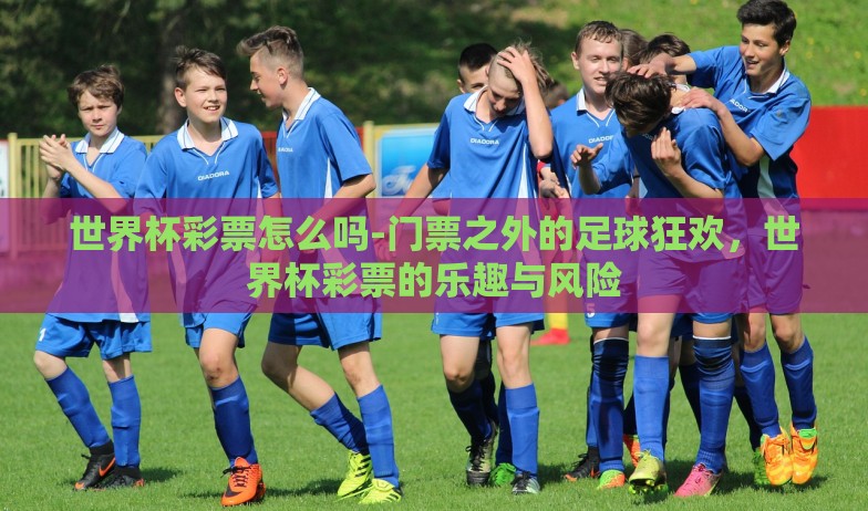 世界杯彩票怎么吗-门票之外的足球狂欢,世界杯彩票的乐趣与风险 世界杯彩票怎么吗-门票之外的足球狂欢,世界杯彩票的乐趣与风险