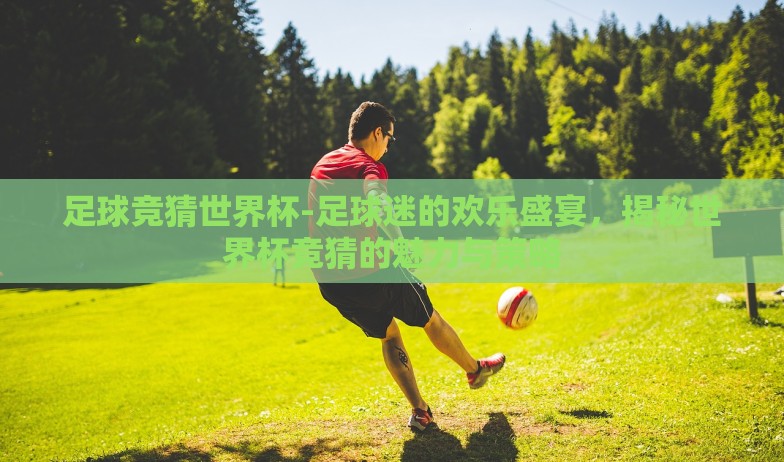 足球竞猜世界杯-足球迷的欢乐盛宴，揭秘世界杯竞猜的魅力与策略
