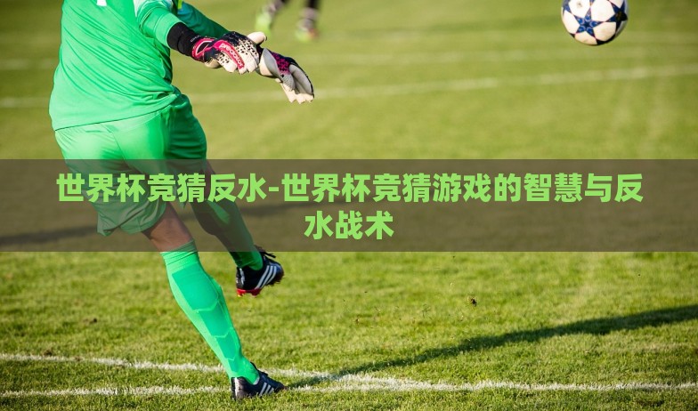 世界杯竞猜反水-世界杯竞猜游戏的智慧与反水战术