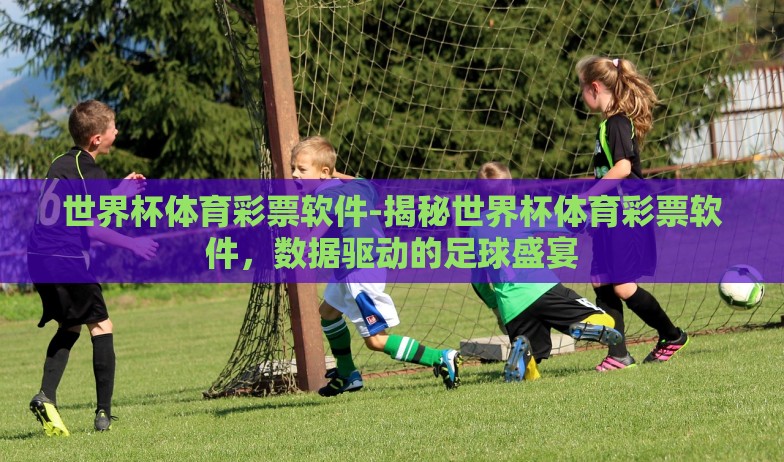 世界杯体育彩票软件-揭秘世界杯体育彩票软件,数据驱动的足球盛宴 世界杯体育彩票软件-揭秘世界杯体育彩票软件,数据驱动的足球盛宴