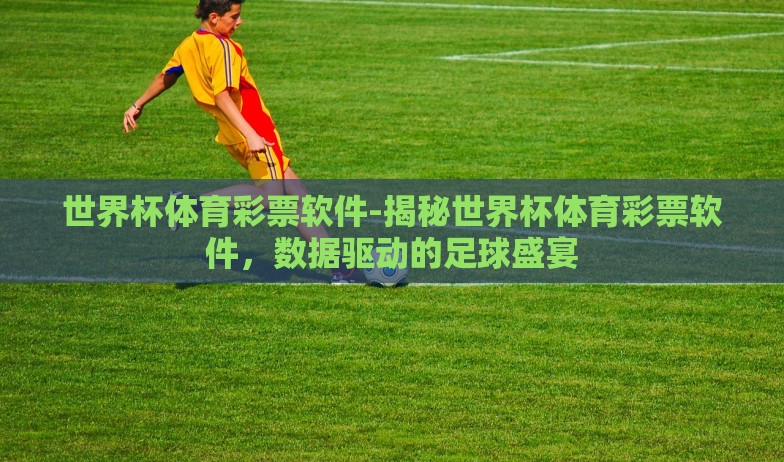 世界杯体育彩票软件-揭秘世界杯体育彩票软件,数据驱动的足球盛宴 世界杯体育彩票软件-揭秘世界杯体育彩票软件,数据驱动的足球盛宴