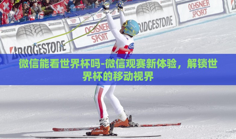 微信能看世界杯吗-微信观赛新体验，解锁世界杯的移动视界