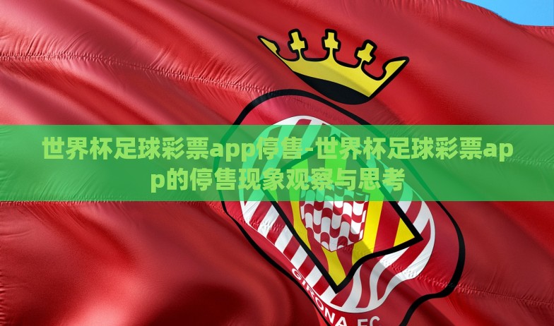 世界杯足球彩票app停售-世界杯足球彩票app的停售现象观察与思考