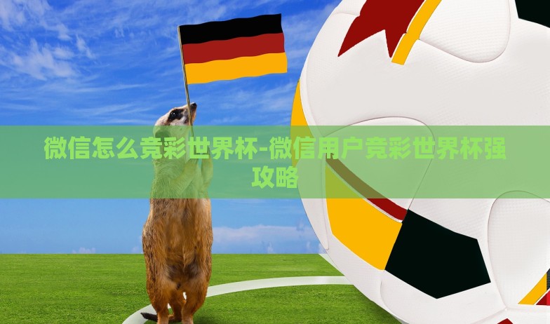 微信怎么竞彩世界杯-微信用户竞彩世界杯强攻略 微信怎么竞彩世界杯-微信用户竞彩世界杯强攻略