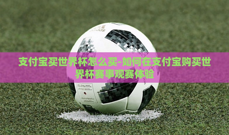 支付宝买世界杯怎么买-如何在支付宝购买世界杯赛事观赛体验 支付宝买世界杯怎么买-如何在支付宝购买世界杯赛事观赛体验
