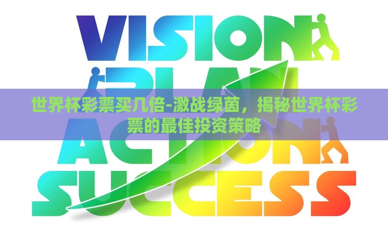 世界杯彩票买几倍-激战绿茵，揭秘世界杯彩票的最佳投资策略