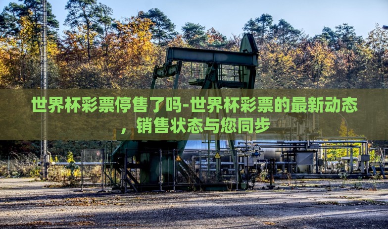 世界杯彩票停售了吗-世界杯彩票的最新动态，销售状态与您同步