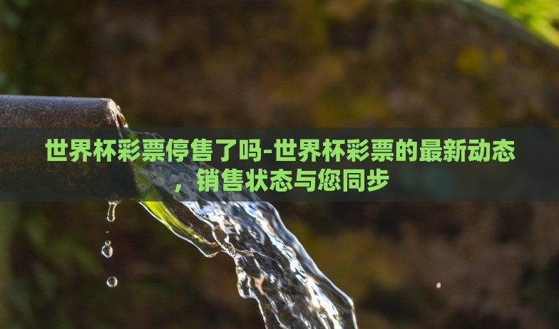 世界杯彩票停售了吗-世界杯彩票的最新动态，销售状态与您同步