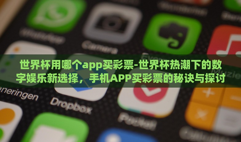 世界杯用哪个app买彩票-世界杯热潮下的数字娱乐新选择，手机APP买彩票的秘诀与探讨