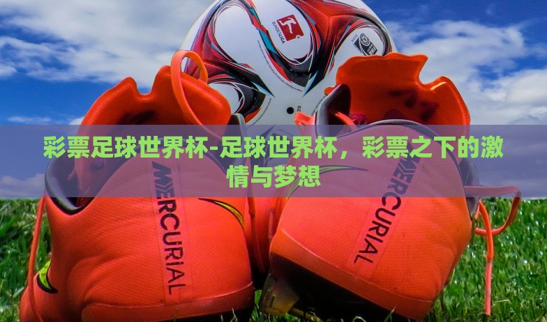 彩票足球世界杯-足球世界杯，彩票之下的激情与梦想