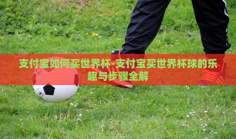 支付宝如何买世界杯-支付宝买世界杯球的乐趣与步骤全解