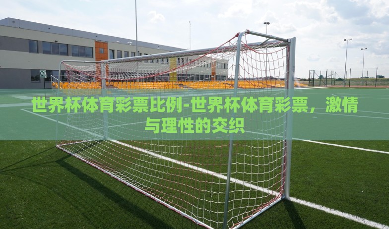 世界杯体育彩票比例-世界杯体育彩票，激情与理性的交织