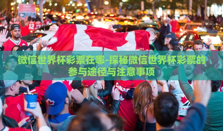 微信世界杯彩票在哪-探秘微信世界杯彩票的参与途径与注意事项