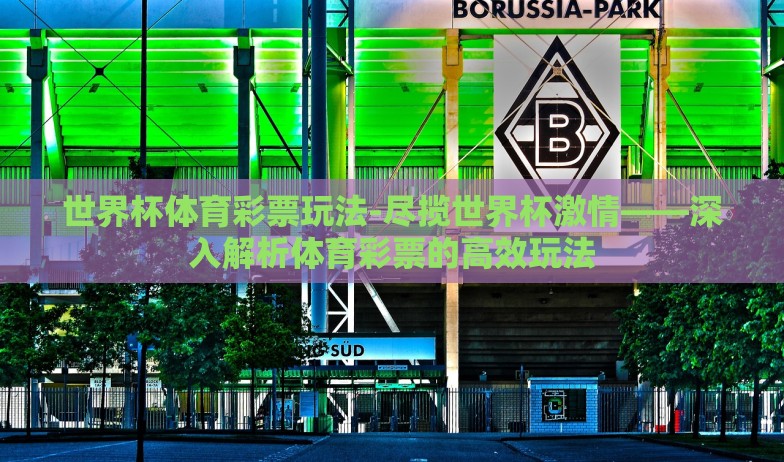 世界杯体育彩票玩法-尽揽世界杯激情——深入解析体育彩票的高效玩法