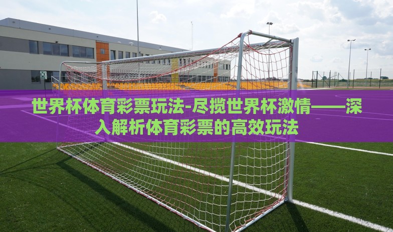 世界杯体育彩票玩法-尽揽世界杯激情——深入解析体育彩票的高效玩法