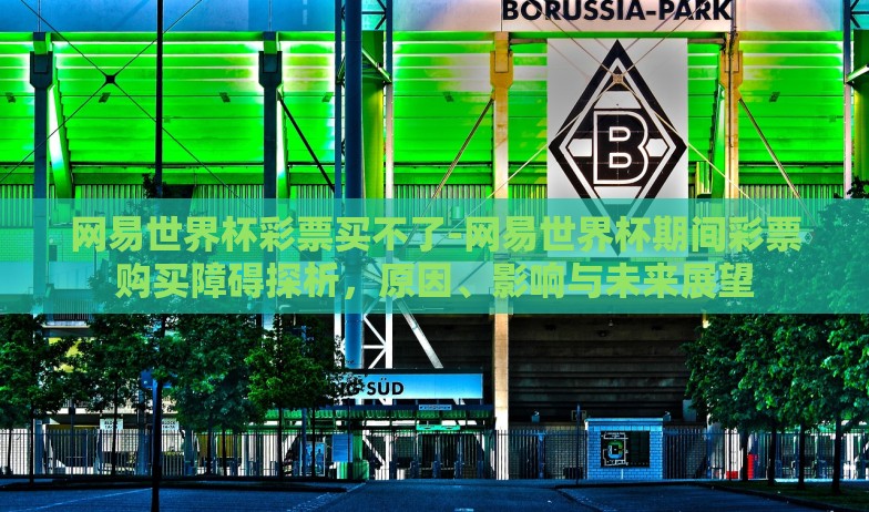 网易世界杯彩票买不了-网易世界杯期间彩票购买障碍探析，原因、影响与未来展望