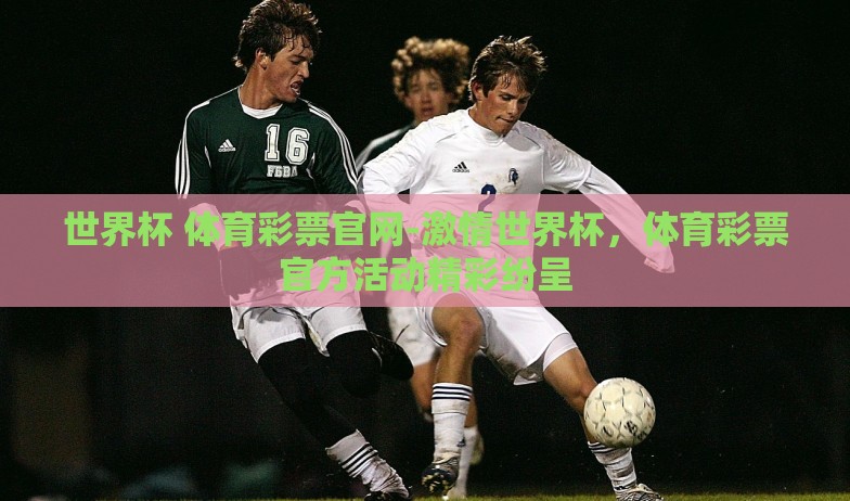世界杯 体育彩票官网-激情世界杯，体育彩票官方活动精彩纷呈