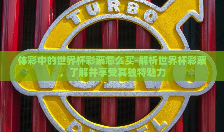 体彩中的世界杯彩票怎么买-解析世界杯彩票，了解并享受其独特魅力