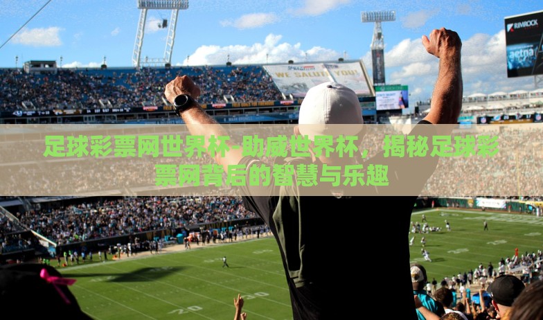 足球彩票网世界杯-助威世界杯，揭秘足球彩票网背后的智慧与乐趣