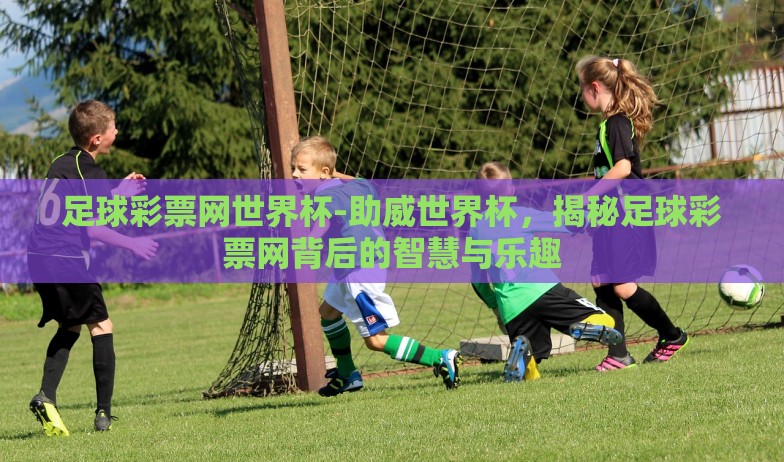 足球彩票网世界杯-助威世界杯，揭秘足球彩票网背后的智慧与乐趣