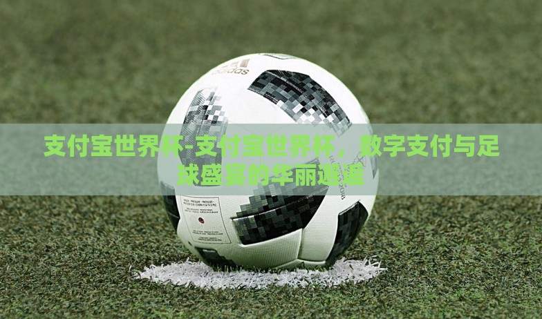 支付宝世界杯-支付宝世界杯，数字支付与足球盛宴的华丽邂逅