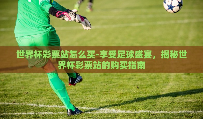 世界杯彩票站怎么买-享受足球盛宴，揭秘世界杯彩票站的购买指南