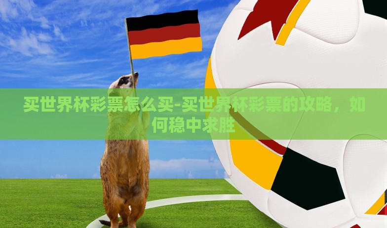 买世界杯彩票怎么买-买世界杯彩票的攻略,如何稳中求胜 买世界杯彩票怎么买-买世界杯彩票的攻略,如何稳中求胜