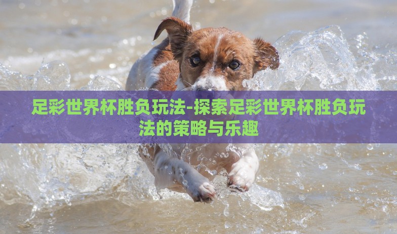 足彩世界杯胜负玩法-探索足彩世界杯胜负玩法的策略与乐趣