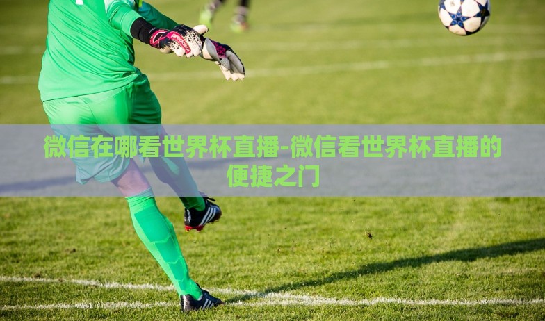 微信在哪看世界杯直播-微信看世界杯直播的便捷之门 微信在哪看世界杯直播-微信看世界杯直播的便捷之门